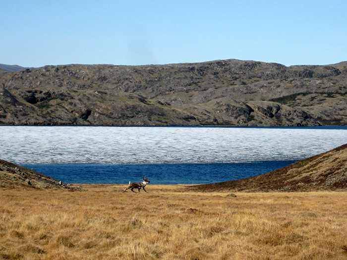 Greenland