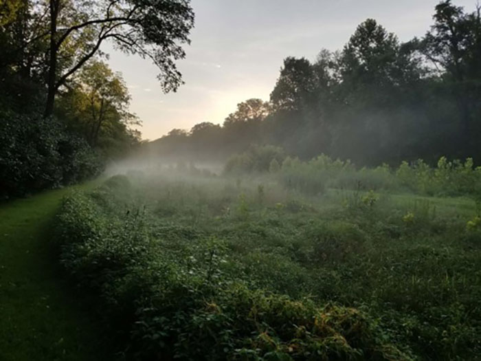 Build a Wildlife Hibernaculum from Invasive Plants