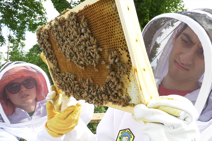 Students working at The Hive