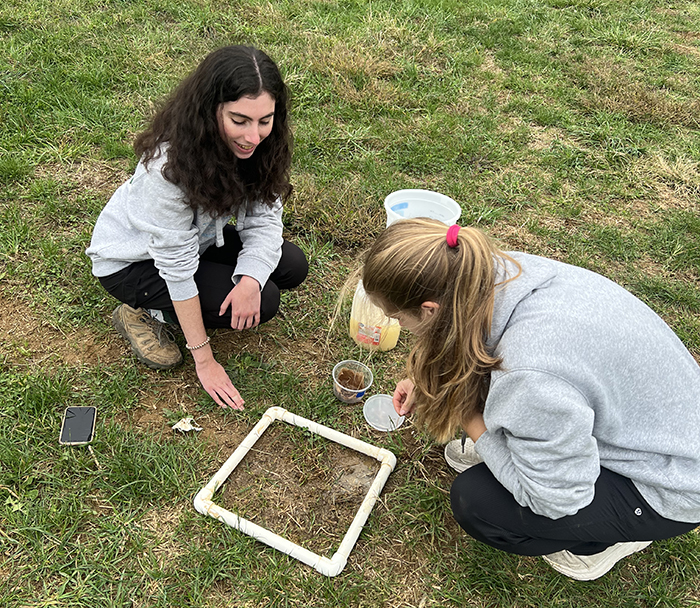 Students quantify the number of earthworms in the soil to determine soil health. Their research will help inform farm practices. Photo courtesy of Maggie Douglass.