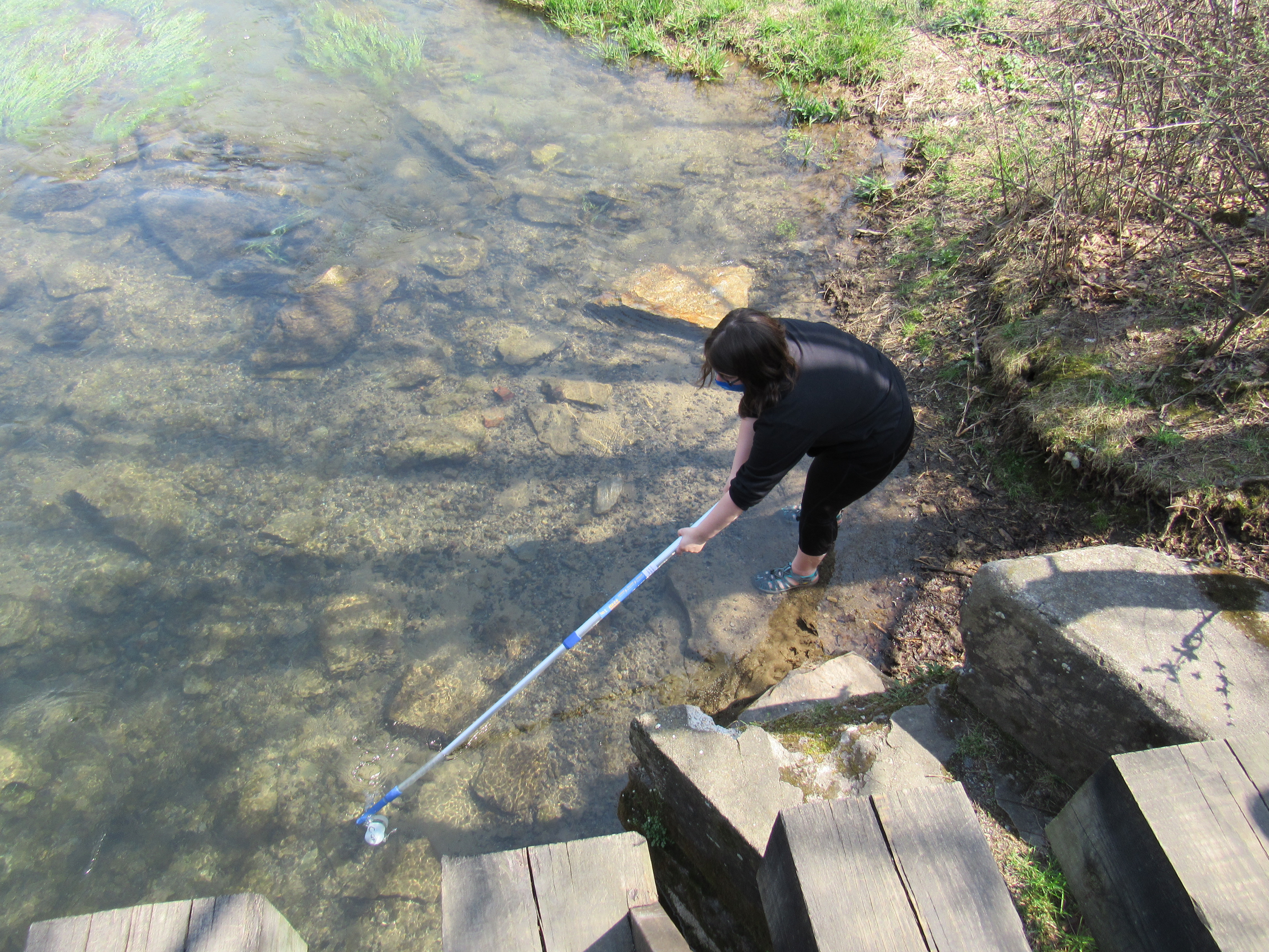 Phoebe Galione '21 collecting a water sample in the LeTort Spring Run. 
