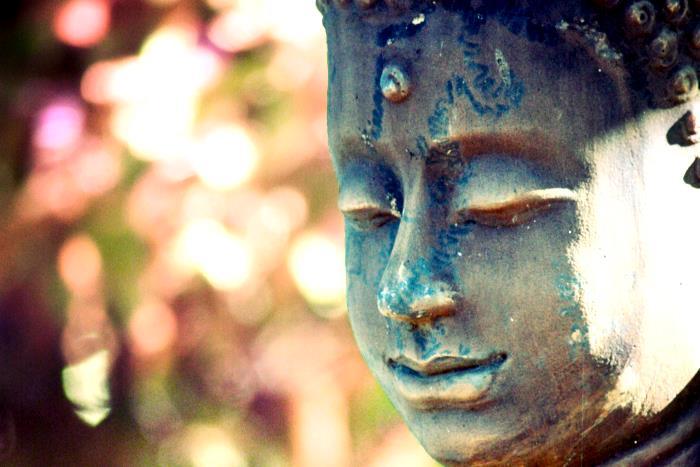 journal of buddhist ethics celebrates 20th anniversary