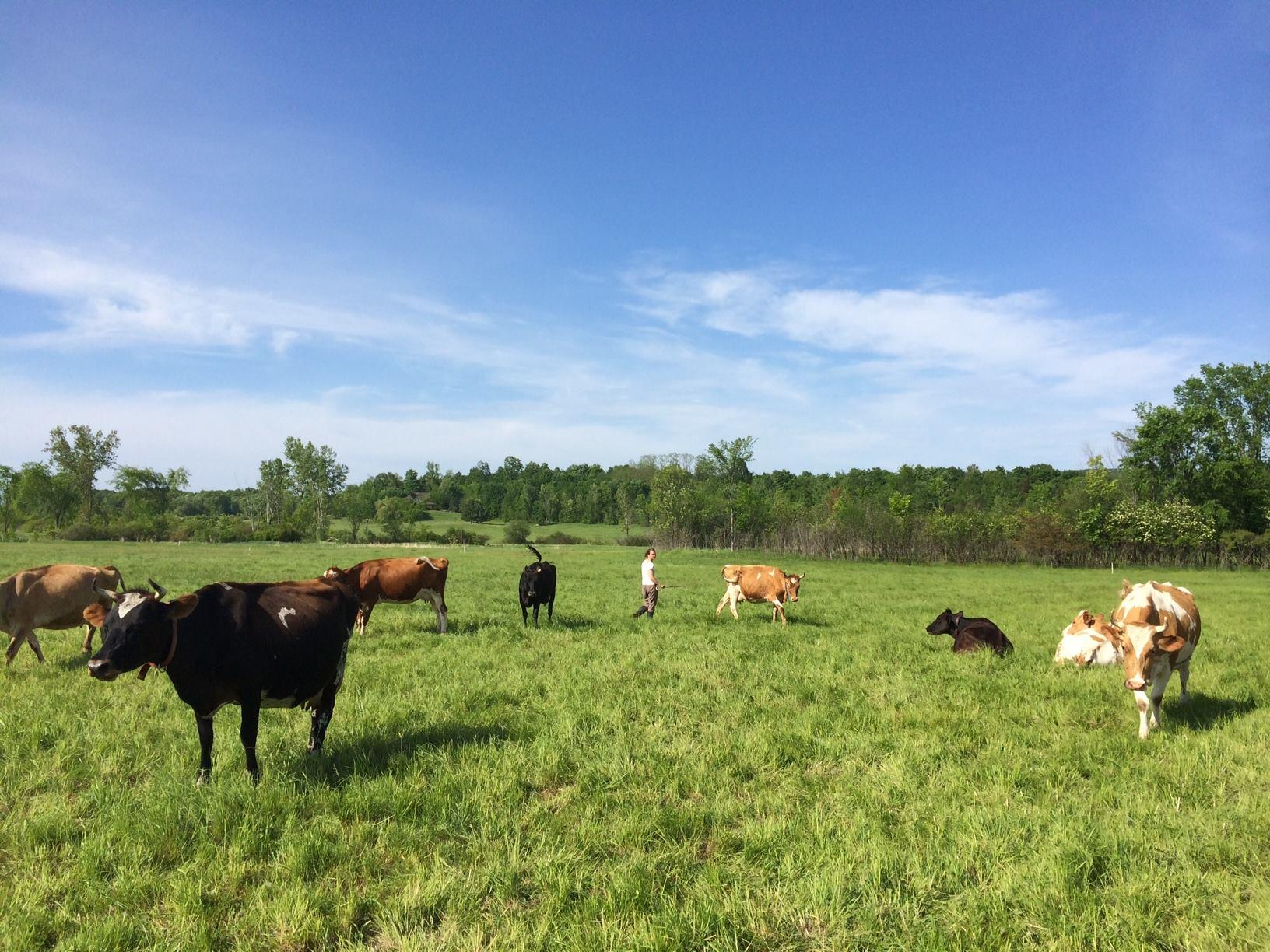 For Kalyn Campbell '10, the College Farm is the secret to her success