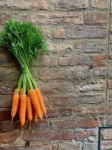 Least Touristy Travel Photo, "Carrots and Bricks", Ana-Elena Karlova '21 (art & art history, economics), Siena, Italy; "In Italy, food is art and sustainable food is a priority. I experienced this first-hand while living with a host family which taught me the importance of eating healthy. My host mom shopped from local markets and made a lot of dishes with locally grown food. After my semester abroad in Florence, I started paying more attention to the origin, contents, and overall quality of the food I eat. "