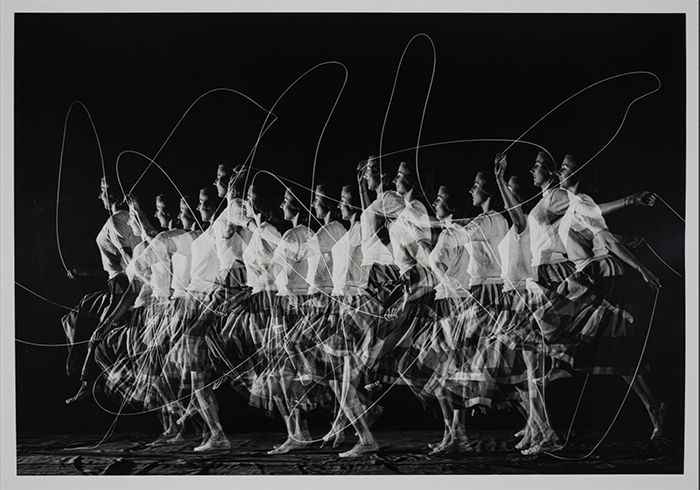 image for lunch and learn event: Dissecting locomotion