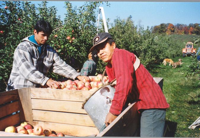 The Mexican Migration Mosaics (1998, 2003 and 2011) focused on migrant farm workers, their families and communities in nearby Adams County and in Peribán in Michoacán, Mexico.