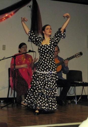 Another flamenco dancer performs.