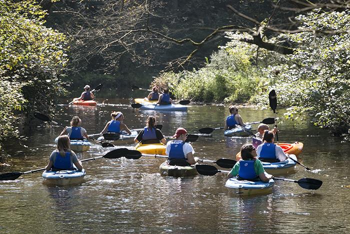 People in blue kayaks on a lake surrounded by trees.