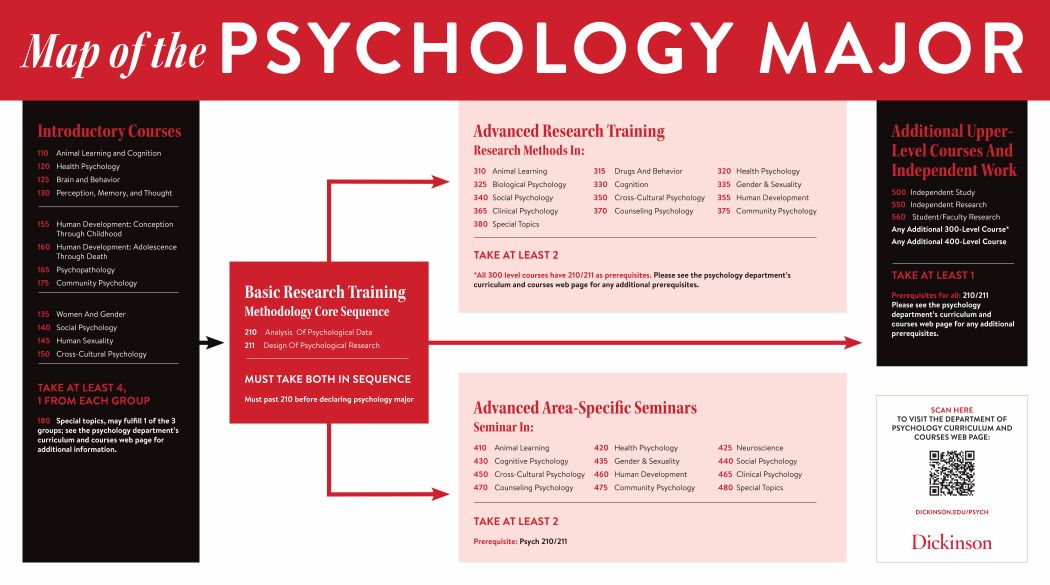 A graphical flowchart of the Psychology Major