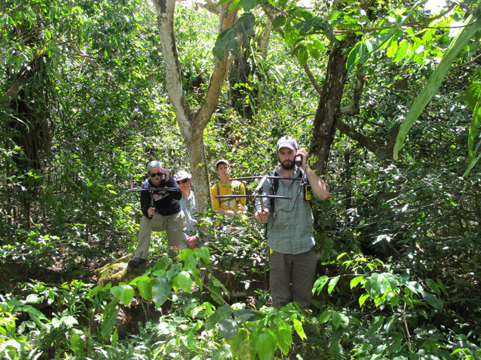 Research teams used radio telemetry coupled with visual surveys to detect and track the brown treesnake on Guam.