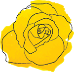 Yellow Rose