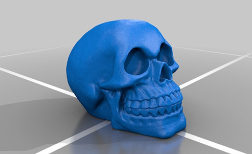 Skull 3-d Model