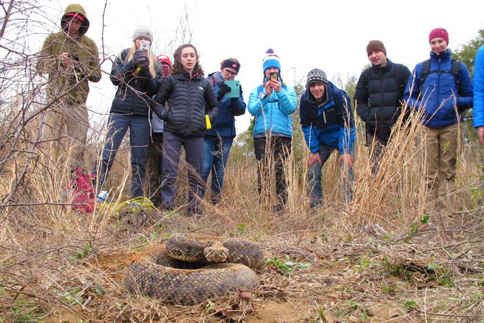 Students with a huge snake