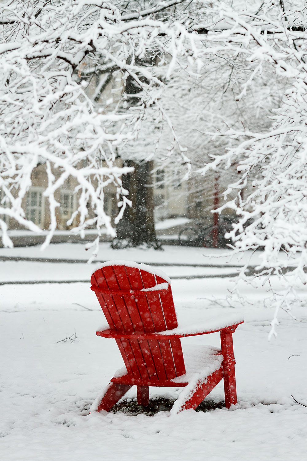winter social 2019 community celebration