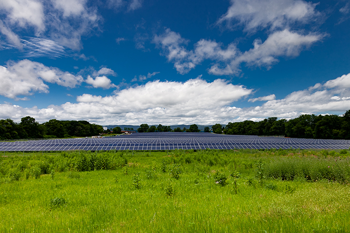 Solar Farm