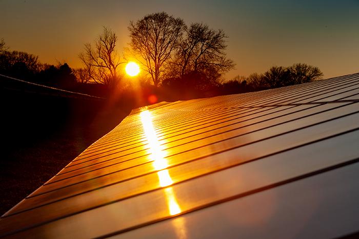 Photo of the sun reflecting on solar panels.