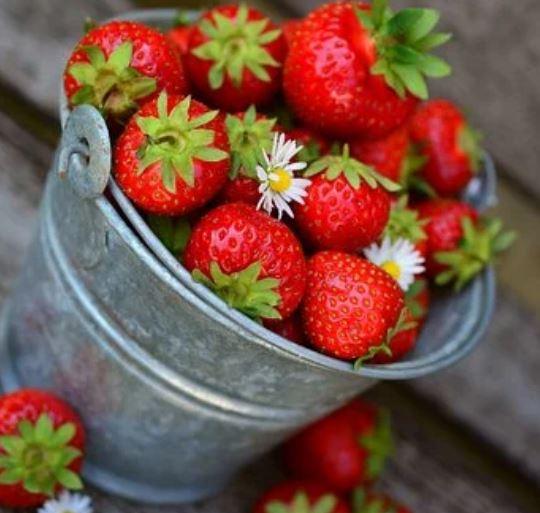 Down on the Farm | CSA & Farm Works