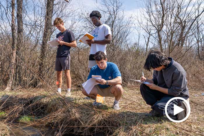 Students gather to do research at a stream