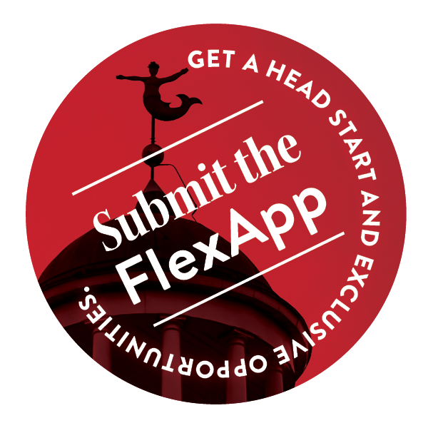 Submit the flexapp web graphic 2