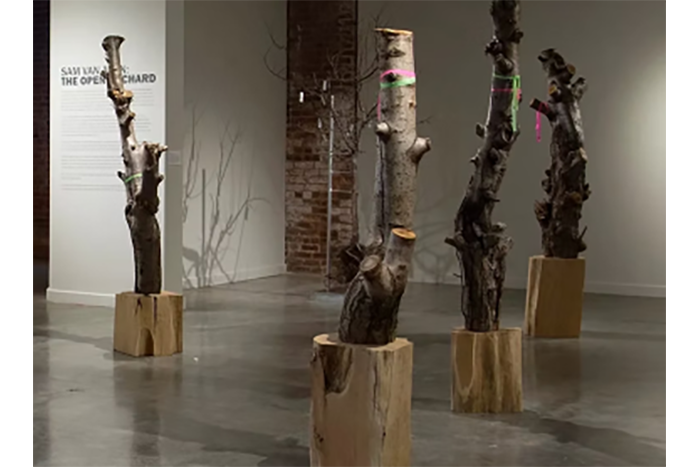 Artist Lecture: Sam Van Aken