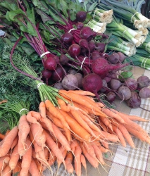 Join Our Campus Support Agriculture (CSA) Program