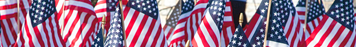 flags displayed in the ground