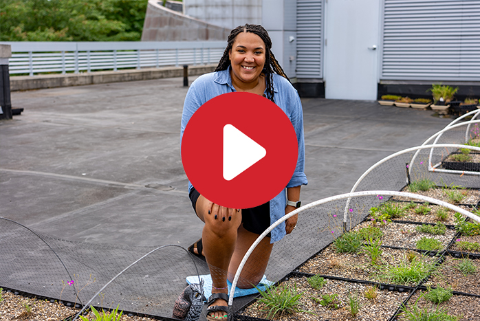 Rooftop Garden video image