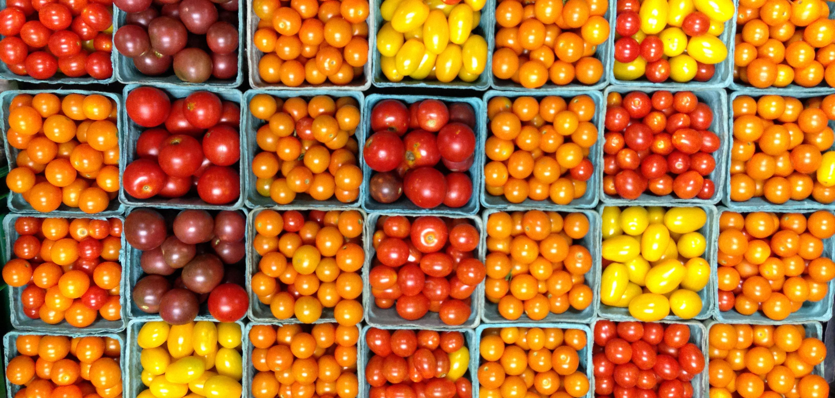 Certified organic cherry tomatoes from Dickinson College Farm. 