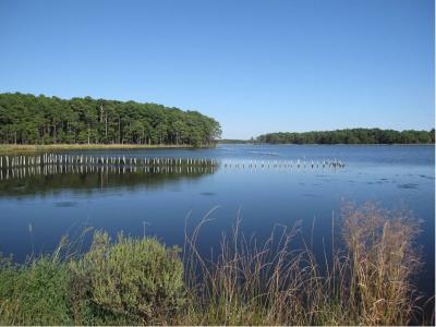 College receives grant for water-managment study.