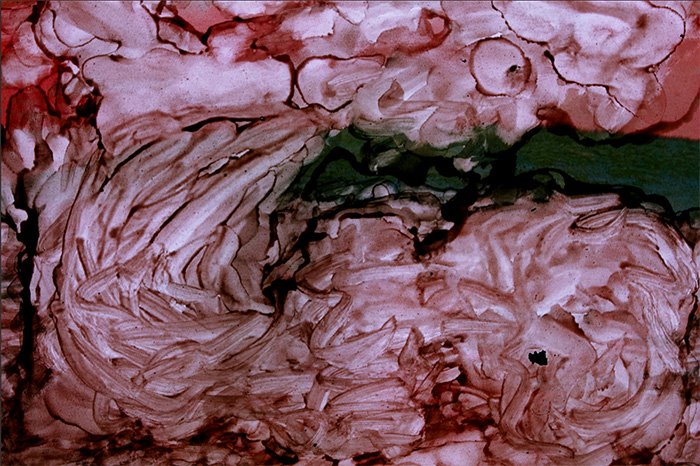 Still from video installation by Todd Arsenault, created to accompany Peteris Vasks' Burnt-out Earth.