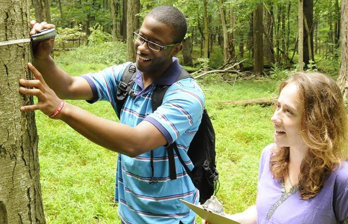 students measure a tree