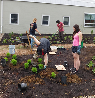 Pollinator Garden Planting Final