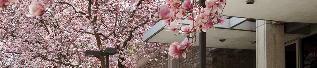 flowering trees, general, campus