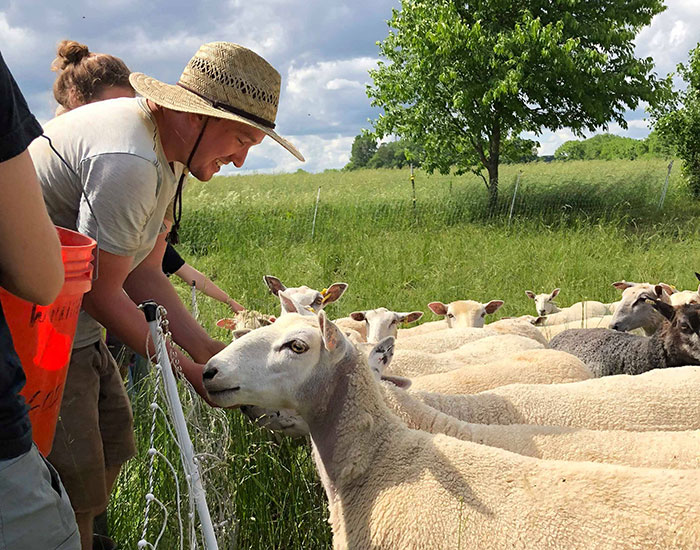 student tour with sheep 