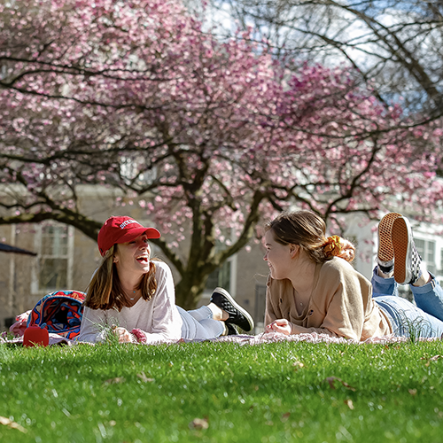 Two Students relax outside on Dickison campus near a cherry blossom tree