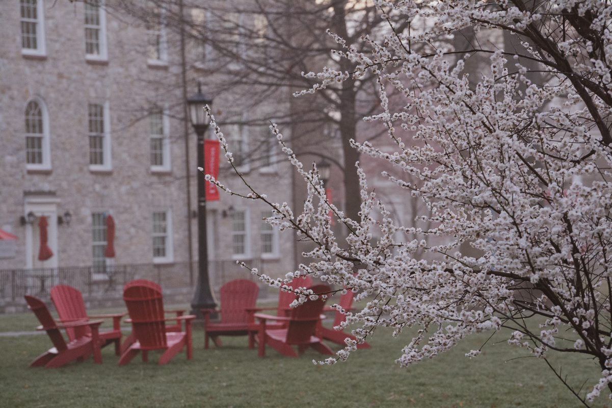 Dickinson College in spring.