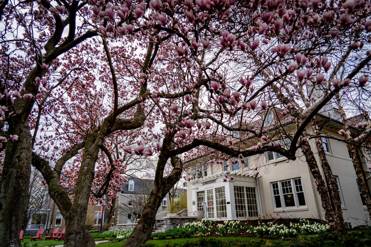 Latinx Alumni Network General Meeting