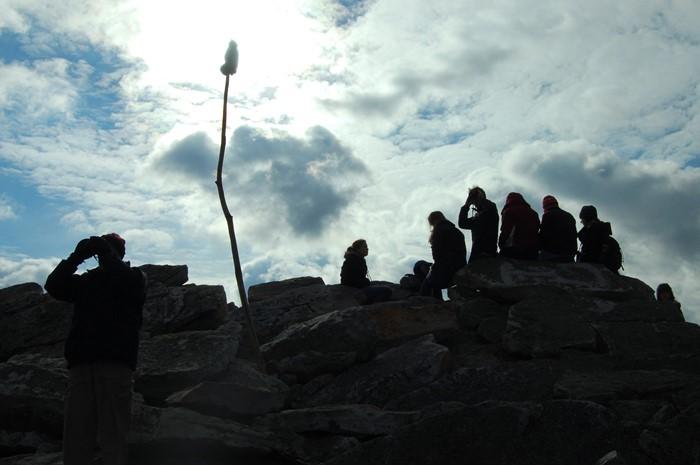 Students look to the sky for birds of prey.