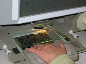 hands placing microfiche under tray glass