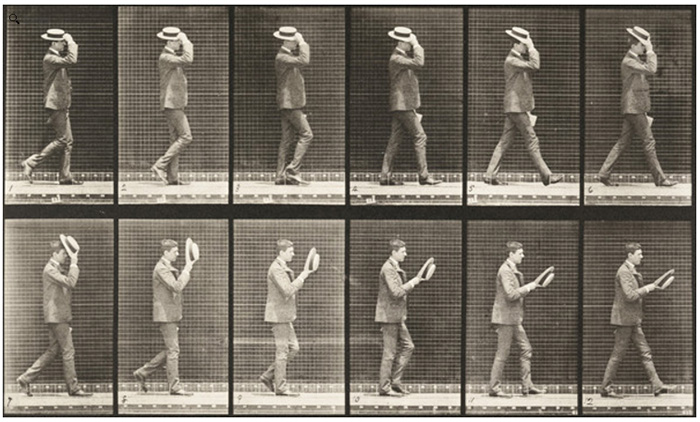 Eadweard Muybridge, Animal Locomotion, Plate 44.