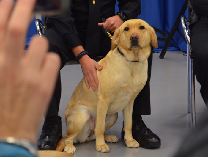 Olive got the star treatment on her graduation day.