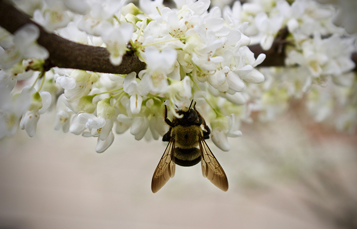 Photo by Jake Saltzberg '20.