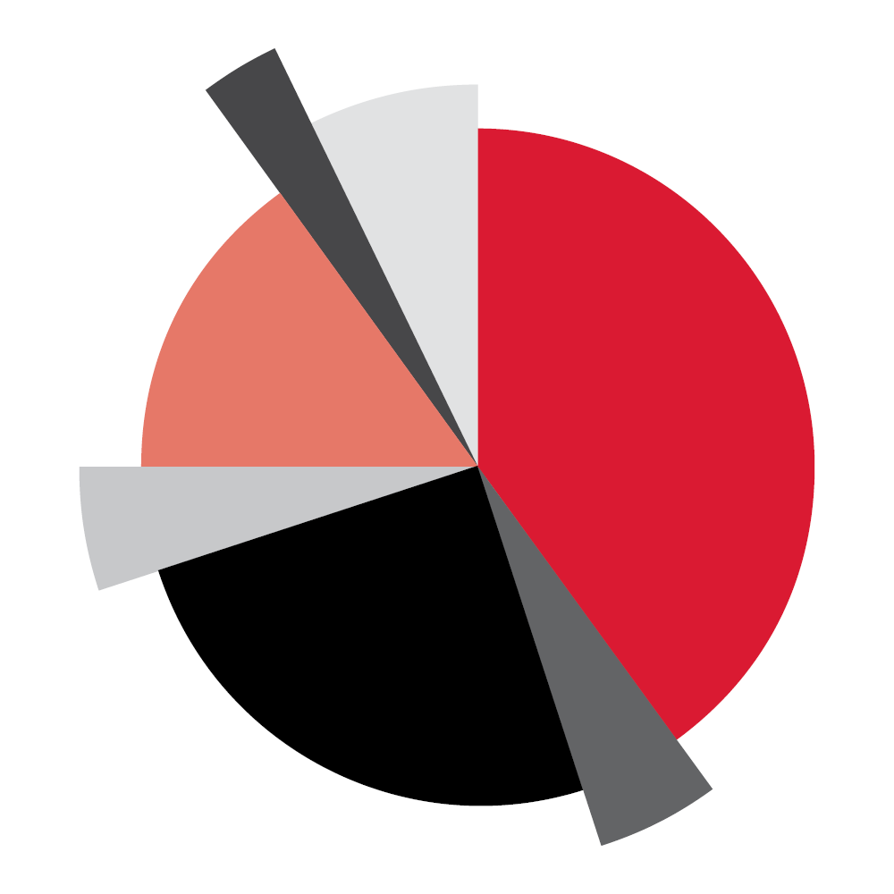 Pie chart for Dickinson Fund allocation