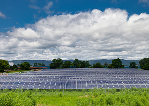 No. 1 "Overall Top Performer"