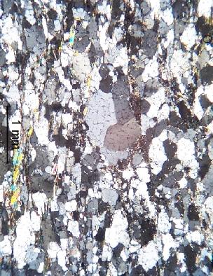 Thin sectioning of quartzite