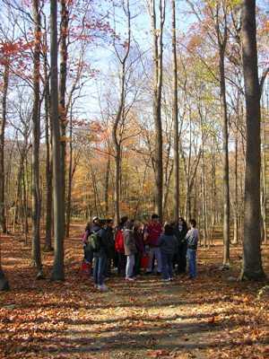 Students conducting fieldwork at the Reineman Wildlife Sanctuary