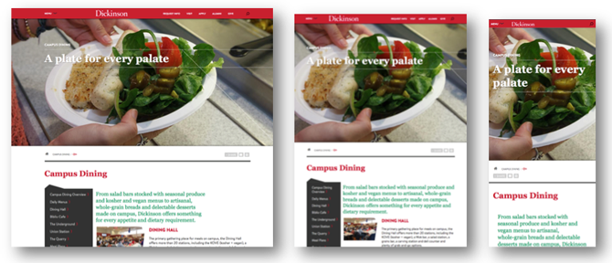 Screenshots of responsive design examples