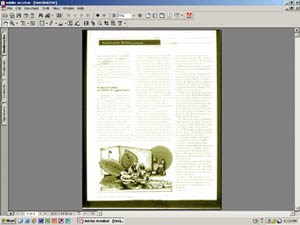 screenshot of scanned image in Adobe Acrobat