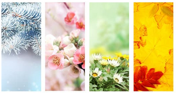 seasonal, four seasons