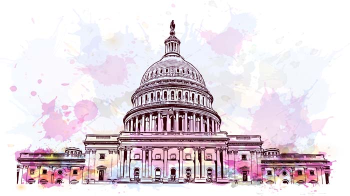 capitol building stock art